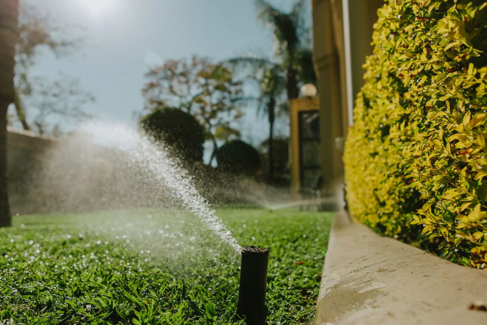 Changing Seasons Landscape & Sprinklers