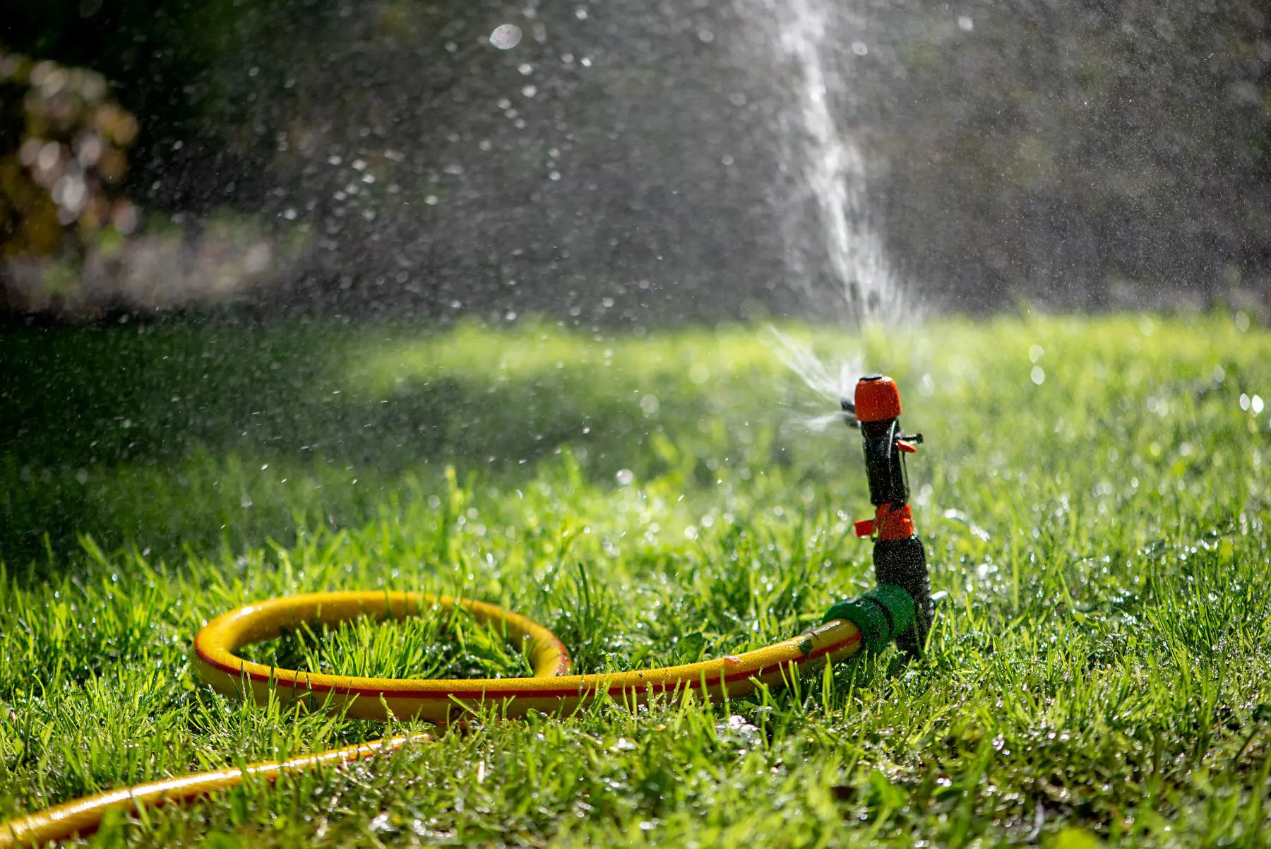 Changing Seasons Landscape & Sprinklers